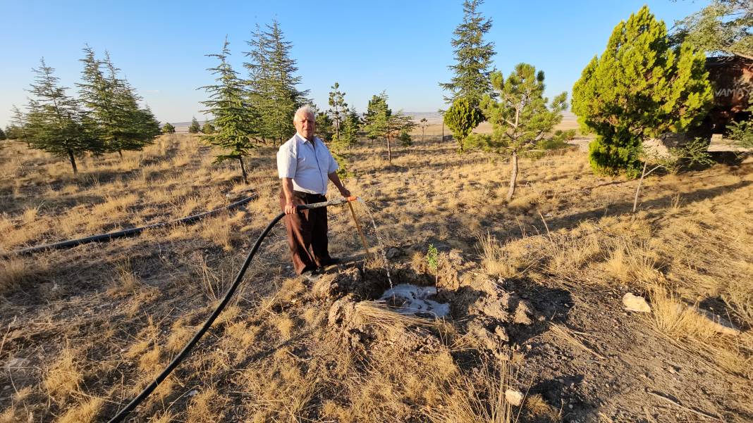 Makas kesme parasıyla ağaç aldı, Konya’da bozkırı ormana çevirdi 1